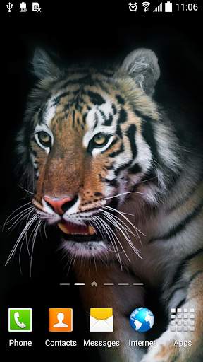Tiger Live Wallpaper screenshot 7