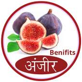 अंजीर के फायदे 1.0