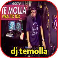 dj te molla