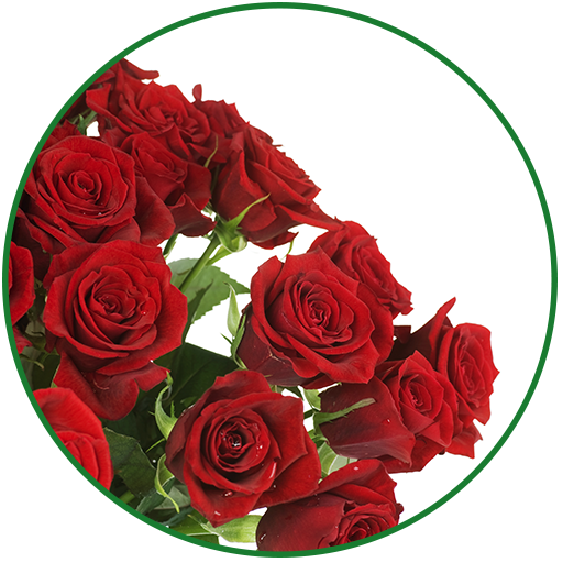 Flowers Live Wallpaper icon
