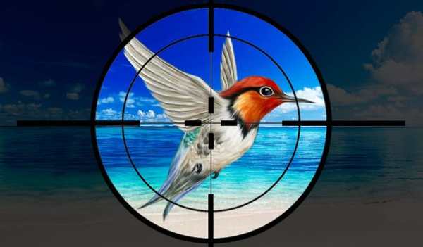 Wild Birds Hunting 2019- Bird Hunter 3D screenshot 6