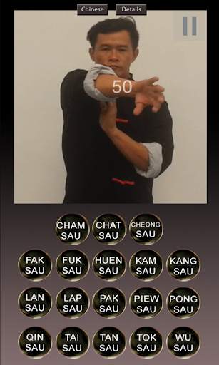 Wing Chun Hands screenshot 4