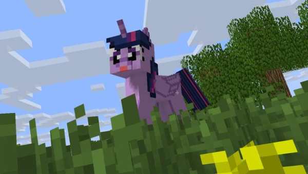 Pony MOD screenshot 3