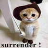 Cute and Funny Animals icon
