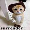 Cute and Funny Animals 1.5
