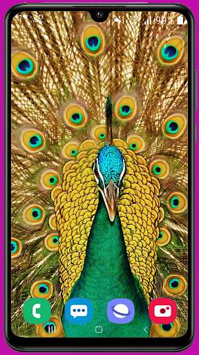 Peacock Wallpaper HD screenshot 6