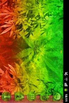 GO Launcher EX Theme Rasta screenshot 6