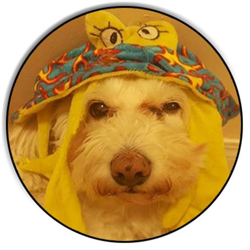 Dog taC Dog 1.14