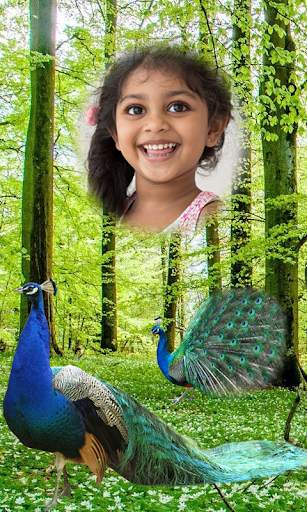 Peacock Photo Frames HD screenshot 3