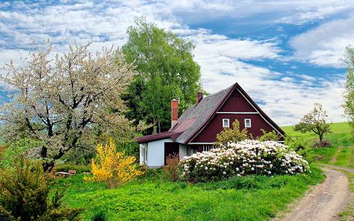 Spring Wallpapers HD (backgrounds & themes) screenshot 9