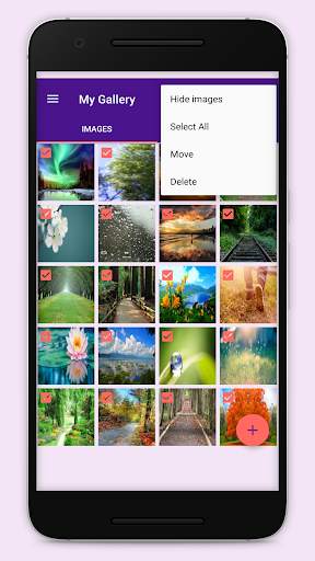 My Gallery vault : Hide photos screenshot 5