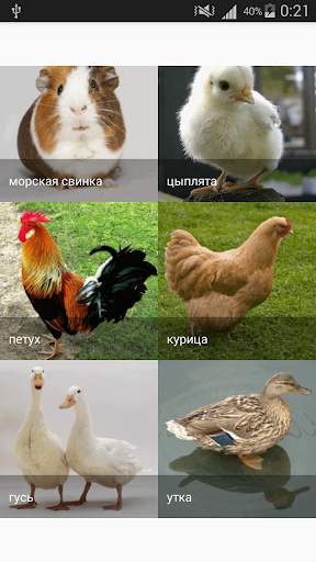 Звуки домашних животных скриншот 3