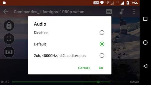 Video Player screenshot 2