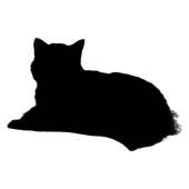 BlackCat - Super Speed Browser logo