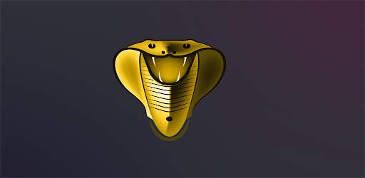 Cobra Media Player screenshot 1