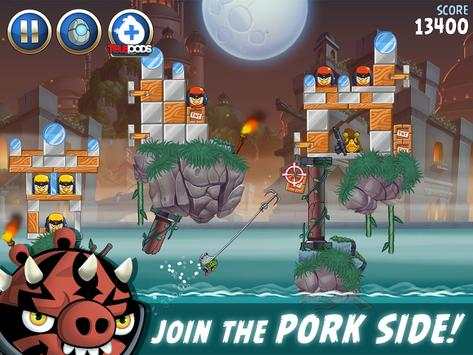 Angry Birds screenshot 14