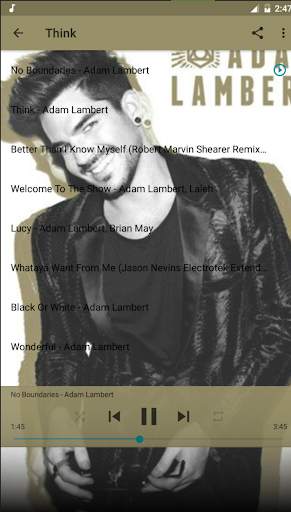 Adam Lambert Free Album Offline screenshot 1