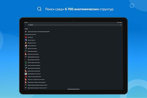 e-Anatomy скриншот 11