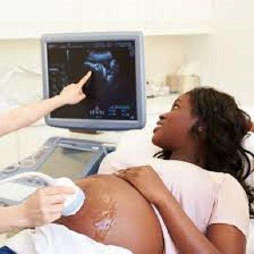 Ultrasound Video 1.2