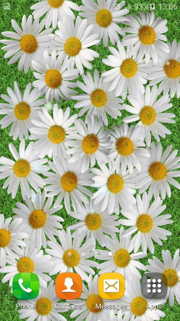 Spring Flowers Live Wallpaper screenshot 4