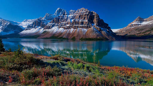 Nature Live Wallpaper screenshot 12