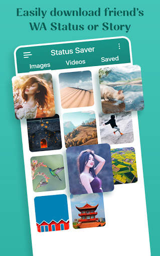 Status Saver screenshot 1