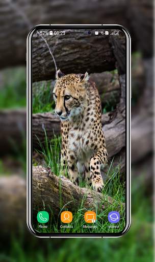 New Cheetah Wallpapers screenshot 10