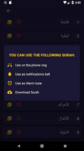 Quran e Kareem MP3 Offline screenshot 4