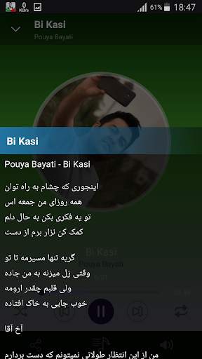 Pouya Bayati - songs offline screenshot 4