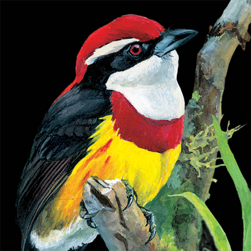 Birds of Peru आइकन