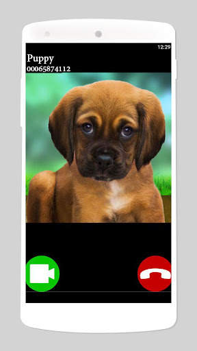 fake call video puppy game screenshot 1