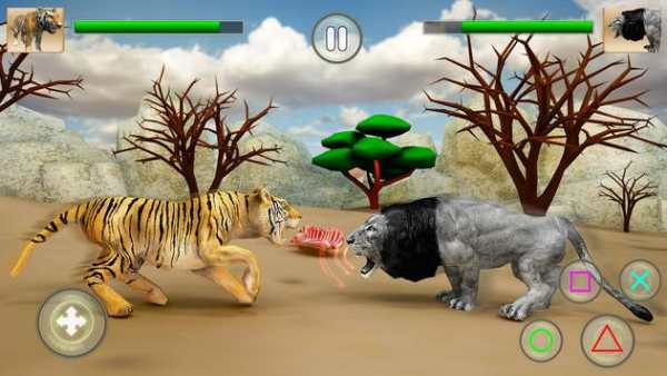 Wild Big Cats Fighting Challenge 2: Lion vs Tigers screenshot 2