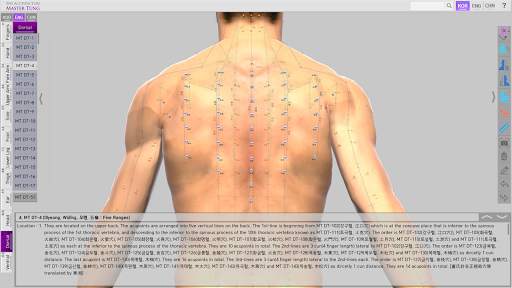 The Acupuncture Master Tung screenshot 4