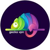 Gecko VPN 5.4