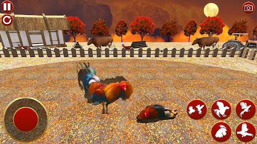 Wild Rooster Fighting Angry Chickens Fighter Games screenshot 5