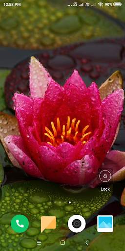 Lotus Wallpaper screenshot 8