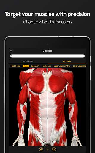 Strength Training screenshot 11