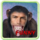 Funny Photo Montage 1.0.1