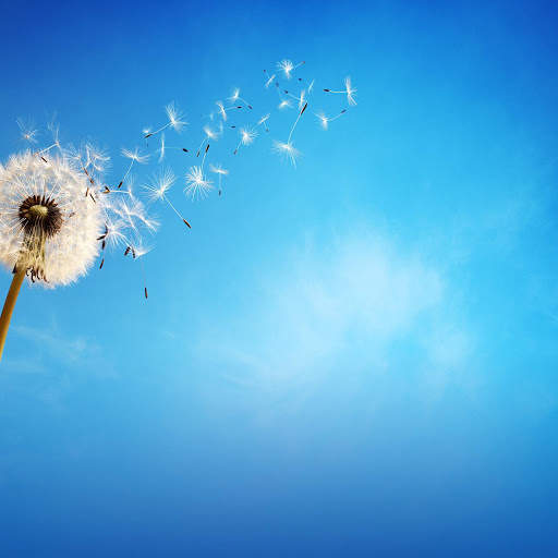 Wallpaper for Huawei Mate 10 screenshot 7