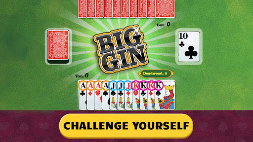 Gin Rummy * screenshot 17