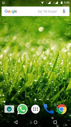Green HD Wallpaper screenshot 2