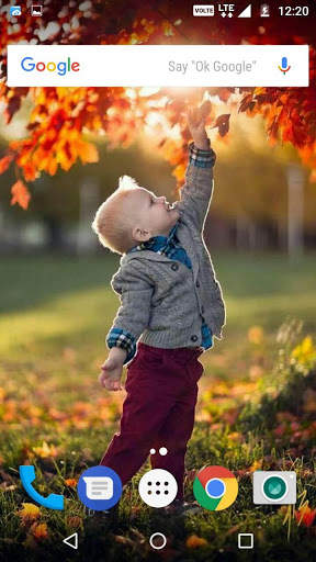 Autumn Wallpaper HD screenshot 3