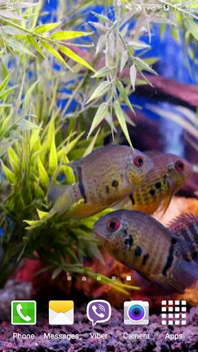 Aquarium Video Wallpaper screenshot 2