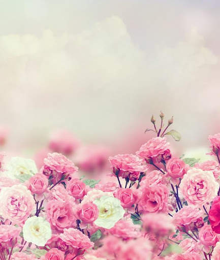 Flowers Wallpaper screenshot 2