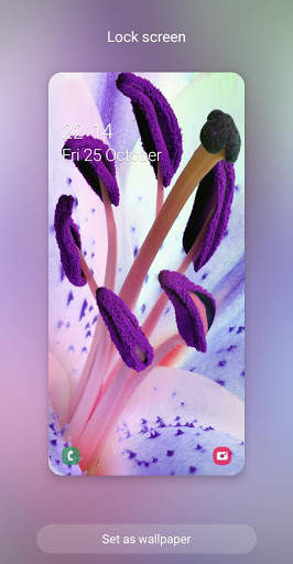 Flowers Wallpaper screenshot 4