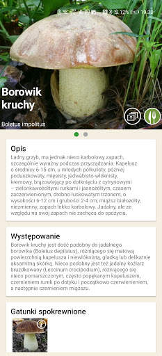 Na grzyby screenshot 3