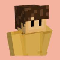 Dream Smp Skin For Minecraft logo