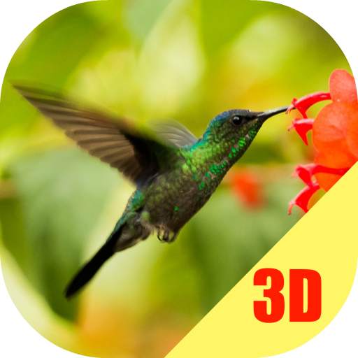 Birds Flying Live Wallpaper 1.0