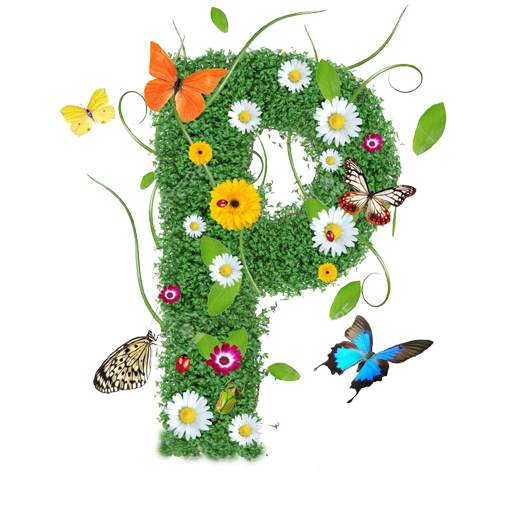 Periodic Table 1.0