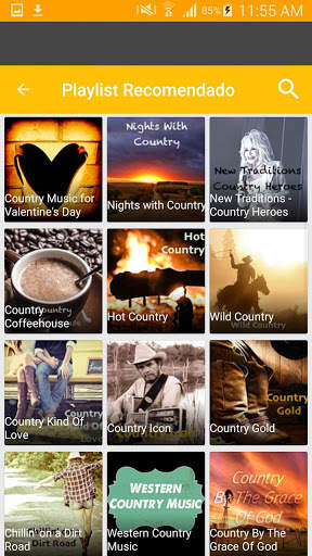 Country Music screenshot 6
